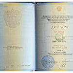 Диплом: Уфимский юридический институт Министерства внутренних дел Российской Федерации, 2009 — Чурилов П.О.