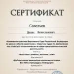 Сертификат 29 - Савельев Денис Вячеславович