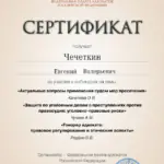 Сертификат - Чечеткин Евгений Валерьевич