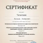 Сертификат 2 - Чечеткин Евгений Валерьевич