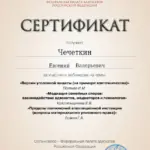 Сертификат 6 - Чечеткин Евгений Валерьевич