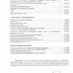 Решение 2 - Чечеткин Евгений Валерьевич