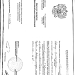 Диплом: Обращение в Европейский суд по правам человека, 2020 — Терехов И.В.