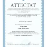 Аттастат РГР 2015 – Агент - Мангушев Ринат Рамилевич