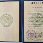 Диплом: ВШ МВД России г.Санкт-Петербург, 1996 — Рождайкин В.И.