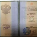 Диплом: Вологодский институт права и экономики Федеральной службы исполнения наказаний, 2007 — Цирик С.В.