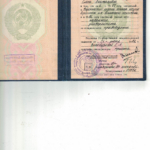 диплом - Сидорова Елена Анатольевна