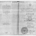 Диплом: Дальневосточный государственный университет , 2009 — Полишко И.В.