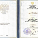 Диплом - Клеблеева Найля Равильевна