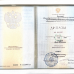 Диплом - Шефер Инна Юрьевна