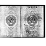 Диплом: Московский государственный университет имени М.В. Ломоносова, 1992 — Чумак Г.Е.