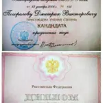 диплом к.ю.н - Погорелов Дмитрй Викторович