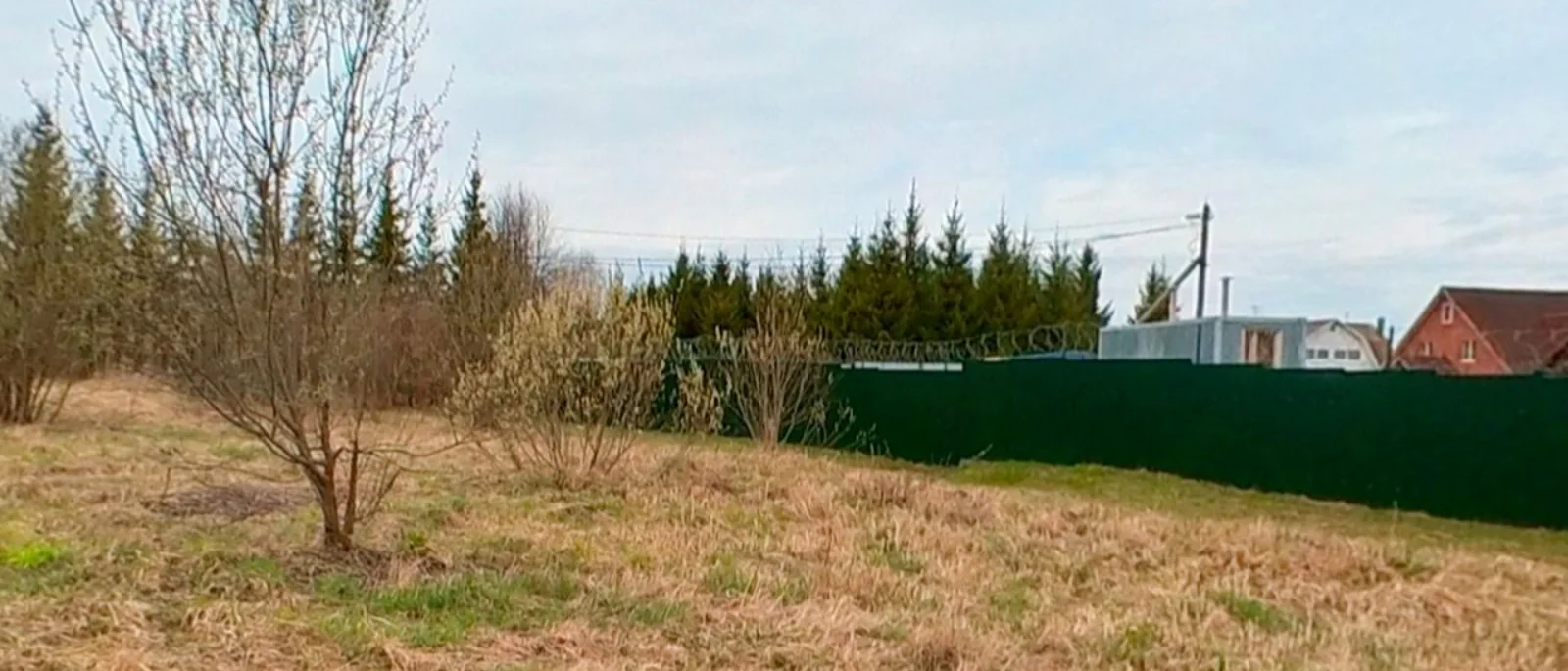 Юрист Дмитриев Алексей Владимирович объясняет: Аренда земельного участка у государства: этапы