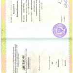 Диплом_Валерия Психология - Бухрашвили Валерия Валерьевна