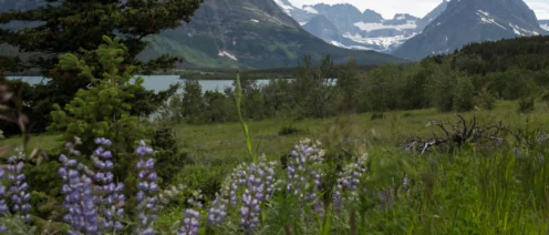 Часто встречающиеся земельные споры и их разрешение в юриспруденции