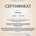 Сертификат 3 - Ерёмин Никита Сергеевич