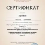 Сертификат 4 - Ерёмин Никита Сергеевич