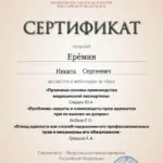 Сертификат 8 - Ерёмин Никита Сергеевич