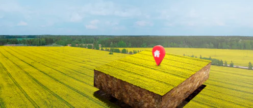 Аренда земельного участка у государства: этапы