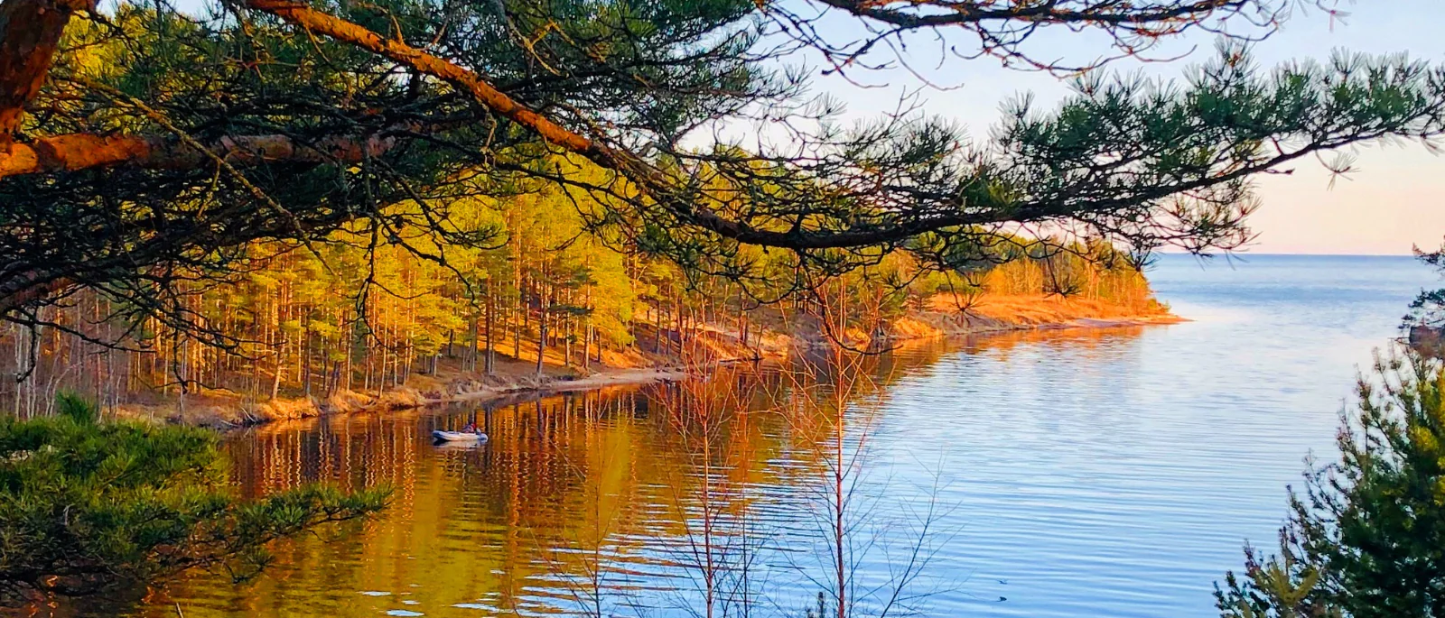 Юрист Марков Александр Владимирович объясняет: Земля каждому