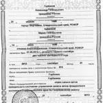 свидетельство о заключении брака - Горбанева Мария Геннадьевна