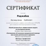 4 Какой должна быть защита по уголовным делам – Соглашение - Раджабов Магомед Запир Курбанович