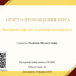 Вводный курс - Раджабов Магомед Запир Курбанович