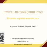 Ведение стратегических дел - Раджабов Магомед Запир Курбанович