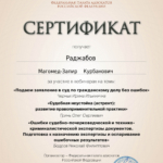 Подаем в суд по гражданскому делу – неустойка – экспертиза - Раджабов Магомед Запир Курбанович