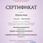 Сертификат - Абрамочкин Евгений Викторович