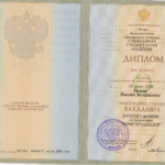 Диплом - Орлов Никита Валерьевич