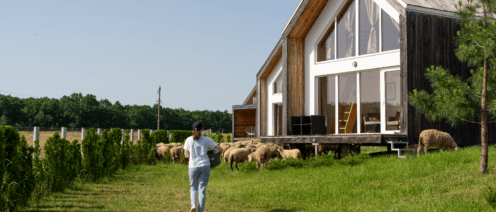 Правовые проблемы при строительстве на арендованном участке: что нужно учитывать