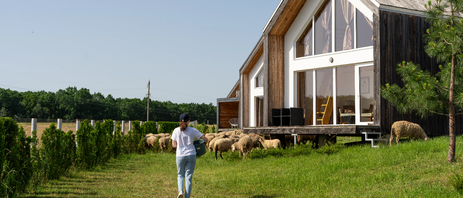 Юрист Бухрашвили Валерия Валерьевна объясняет: Правовые проблемы при строительстве на арендованном участке: что нужно учитывать