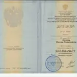 Диплом Смольный институт РАО - Носов Павел Петрович