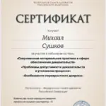 Сертификат 2 - Сушков Михаил Алексадрович