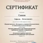 Ваш сертификат Вебинар ФПА 10.07.2025 - Саяхов Рафаэль Вячеславович