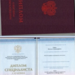 Диплом - Пашко Наталья Александровна