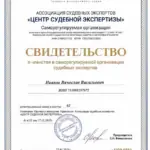 Свидетельство Иванов В.В - Иванов Вячеслав Васильевич
