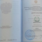 Диплом - Ладошкин Юрий Олегович