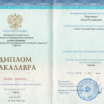 Диплом теплоэнергетик - Минченко Анна Руслановна