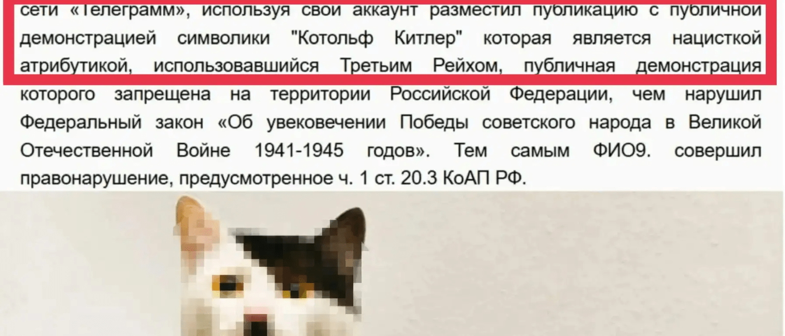 Адвокат Алексеенко Нина Александровна объясняет: «Просто мем» или статья? Почему юмор в сети имеет цену