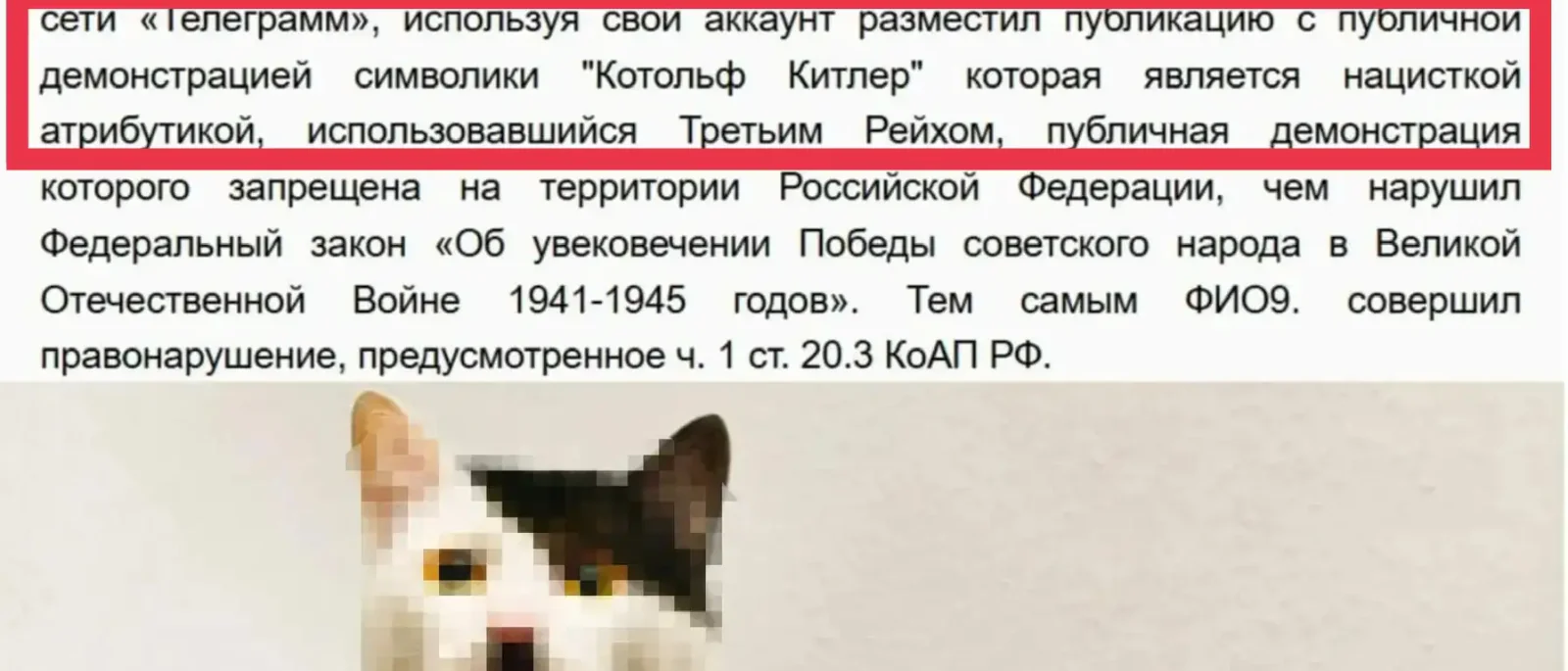 Адвокат Алексеенко Нина Александровна объясняет: «Просто мем» или статья? Почему юмор в сети имеет цену