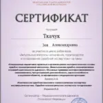 Сертификат 2 - Ткачук Зоя Александровна