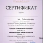 Сертификат 5 - Ткачук Зоя Александровна
