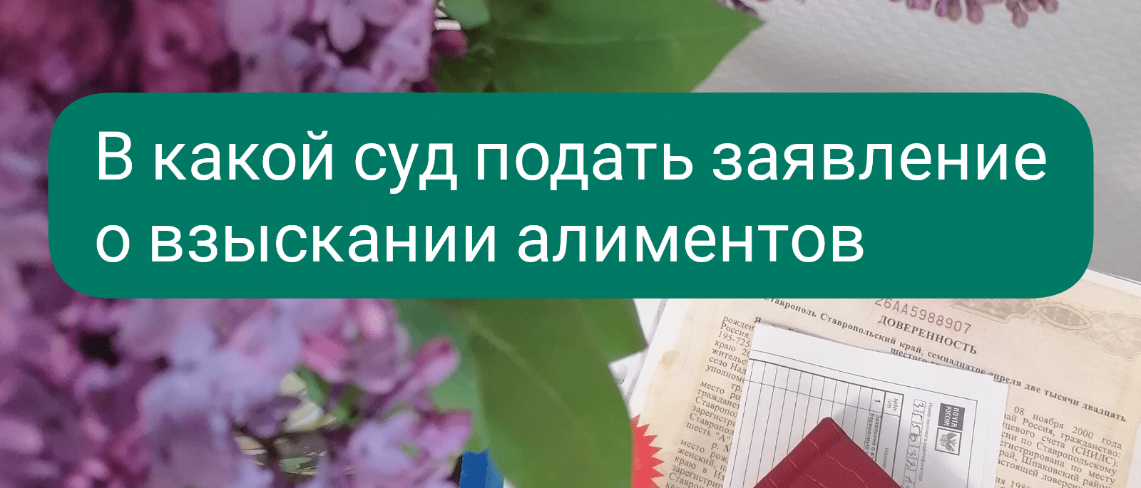 Юрист Красикова Маргарита Викторовна объясняет: В какой суд подавать на алименты