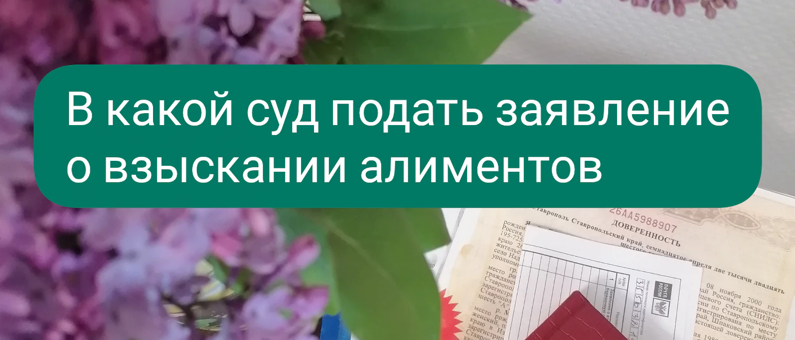 Юрист Красикова Маргарита Викторовна объясняет: В какой суд подавать на алименты