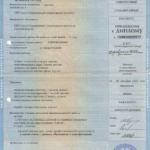 Диплом: СГУ, 2002 — Корнеев И.В.