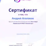 сертификат - Агалаков Андрей Сергеевич