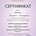 Сертификат 22.04.2026 – 6 часов - Васильков Константин Александрович