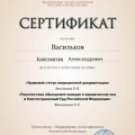 Сертификат 11.02.2026 – 4 часа - Васильков Константин Александрович